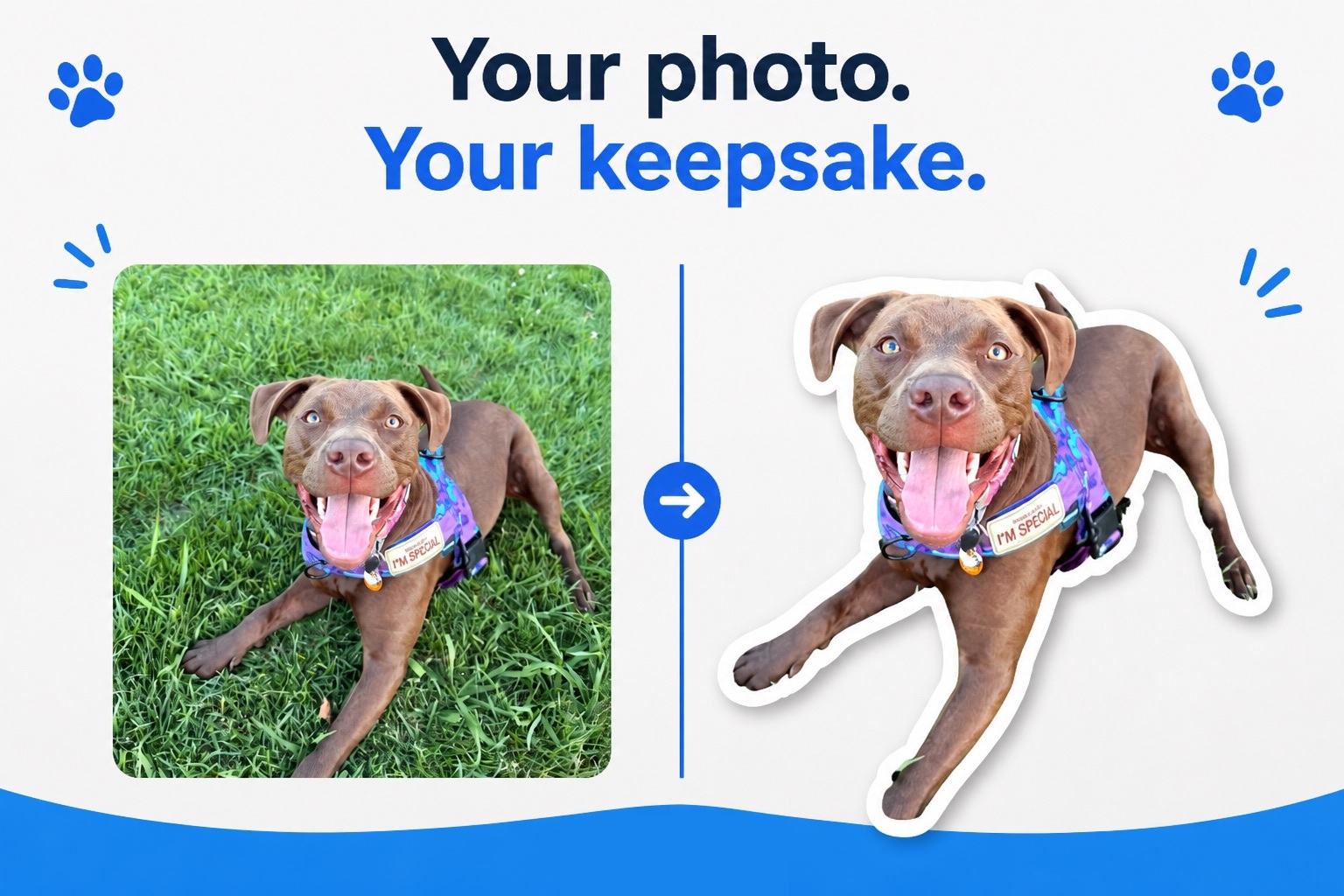 Your photo transformed into a Petvo die-cut sticker