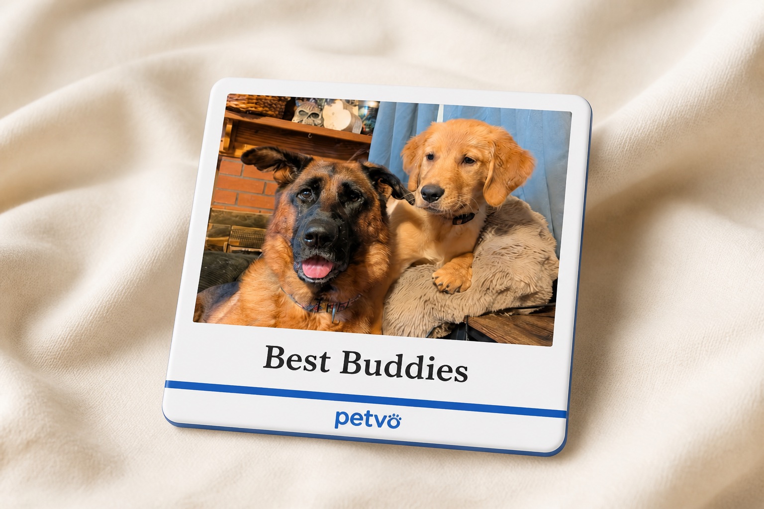 Classic Best Buddies photo magnet